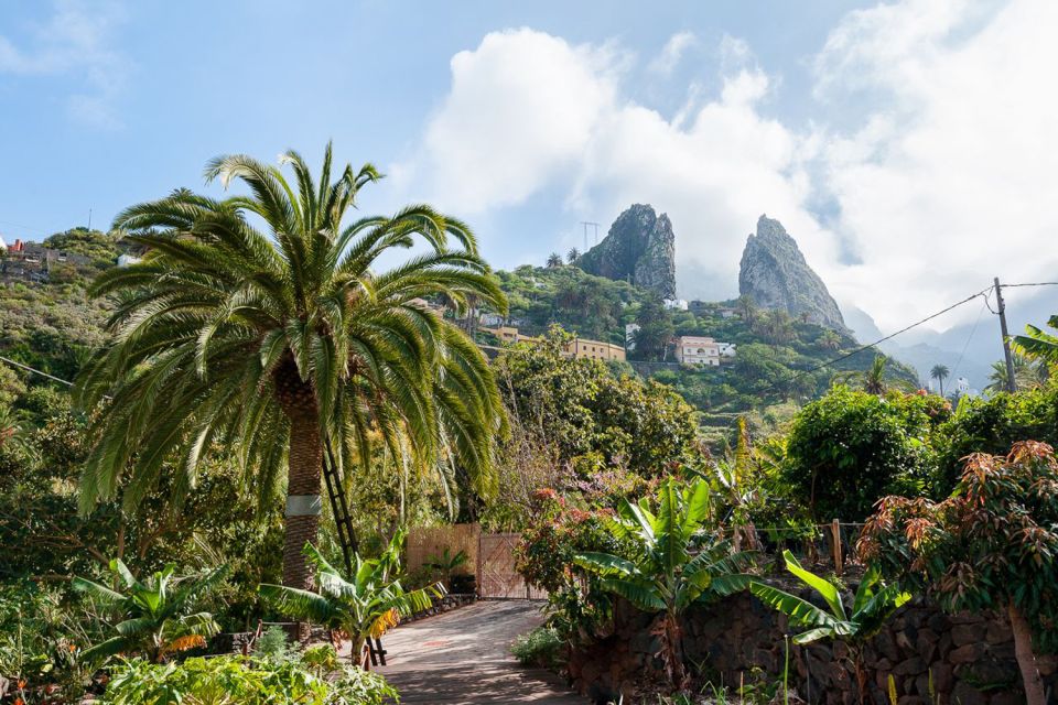 From South Tenerife: La Gomera Island Day Trip with Lunch - Price and Value: What $124 Buys You (and What It Doesn’t)