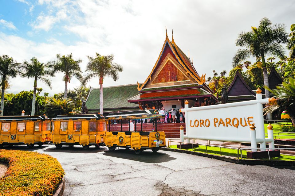 From South Tenerife: Loro Park Zoo Ticket & Hotel Transfers - Price and Logistics: What $75 Really Buys You