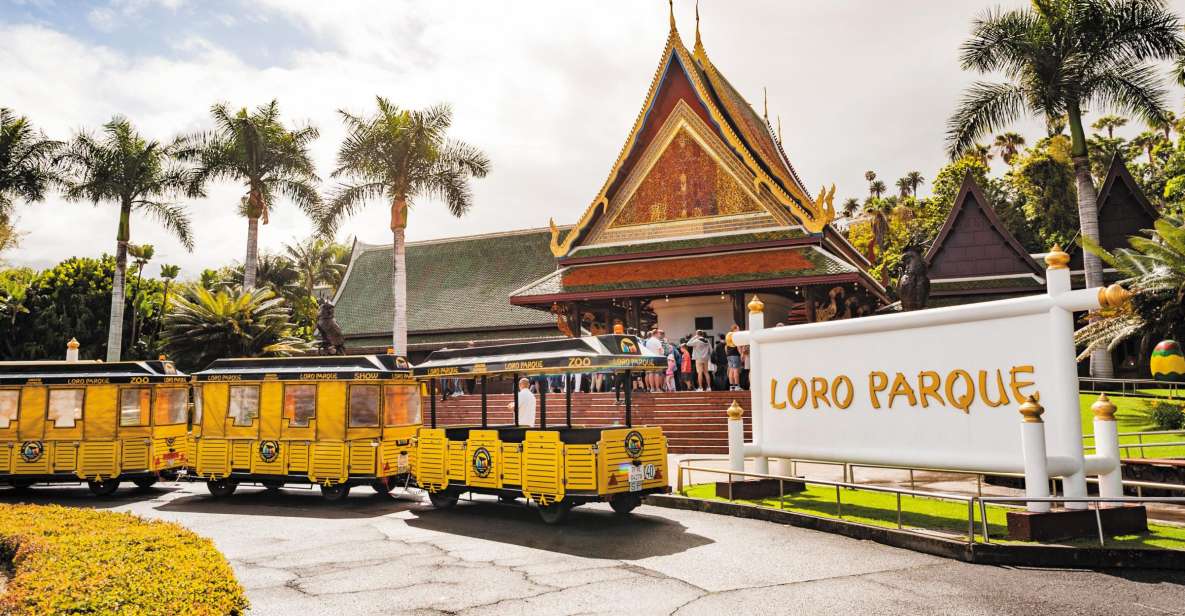 From South Tenerife: Loro Park Zoo Ticket & Hotel Transfers - Inside Loro Parque: A Full Day Without Feeling Random