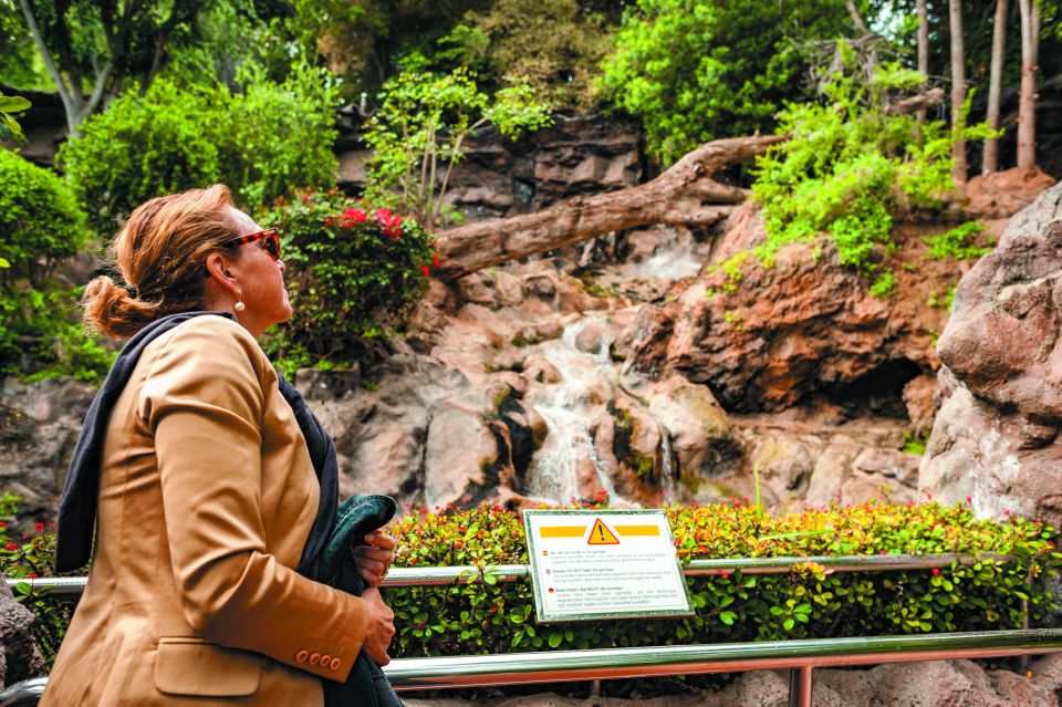 From South Tenerife: Loro Park Zoo Ticket & Hotel Transfers - Lunch and Food: What to Do When Meals Aren’t Included