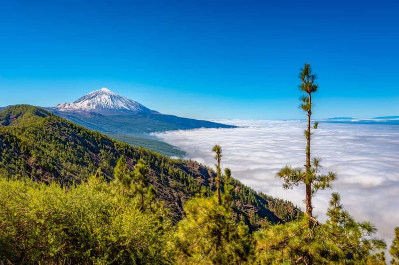 From South Tenerife: Mount Teide Hiking Day Trip & Cable Car - Price and value: what $169 really covers