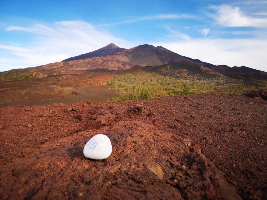 From South Tenerife: Teide National Park Tour - Price and value: what $77 gets you, and why it can be worth it