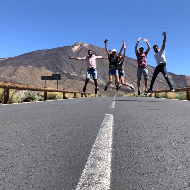 From South Tenerife: Teide National Park Tour - Teide by van: why this southern tour feels easier than big-bus days