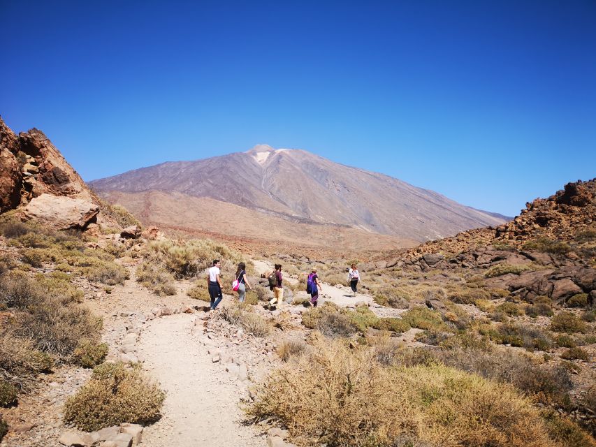 From South Tenerife: Teide National Park Tour - Vilaflor and El Pino Gordo: start with village calm, then pine-forest drama