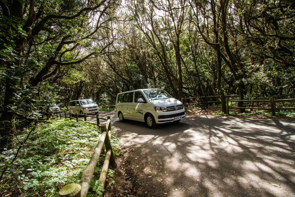 From South Tenerife: VIP Gomera Tour - Value check: is $188 worth it for a 10-hour VIP-style loop?