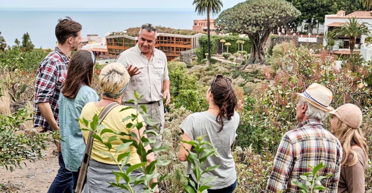 From South Tenerife: VIP Grand Tour Tenerife island - Key highlights worth your attention