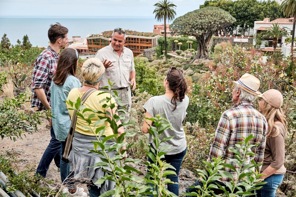 From South Tenerife: VIP Grand Tour Tenerife island - Isla Baja and Orotava Valley: a Tenerife contrast you can actually see