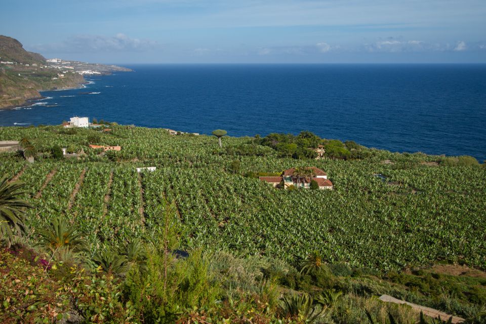 From South Tenerife: VIP Grand Tour Tenerife island - Teide National Park UNESCO: where the volcano story clicks