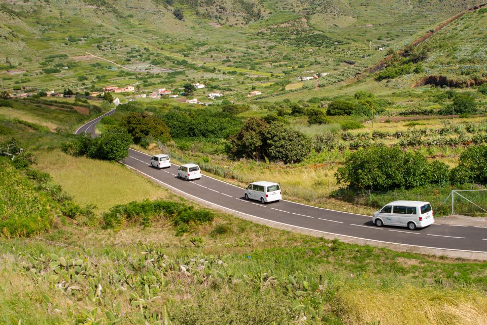 From South Tenerife: VIP Grand Tour Tenerife island - Price and value: what $110 buys you on Tenerife
