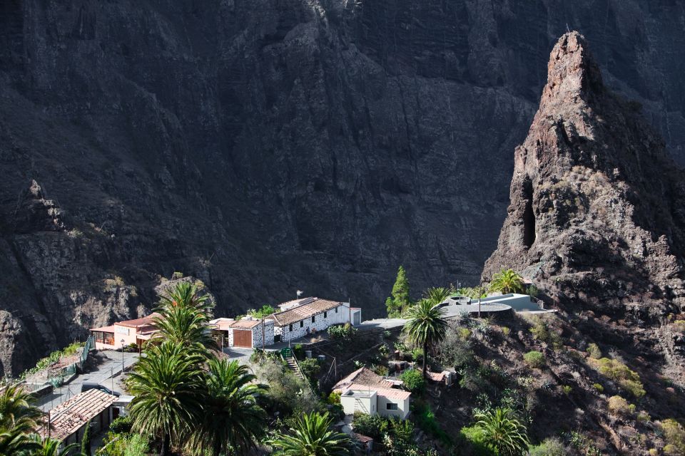 From South Tenerife: VIP Grand Tour Tenerife island - Masca and its hamlets: the road that makes Tenerife feel real