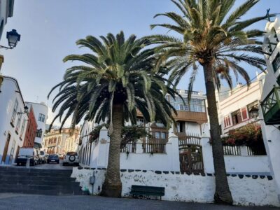 From Tenerife: Day Trip to La Palma Volcanic Landscapes - Santa Cruz de La Palma’s highlights: history, steep streets, and big views