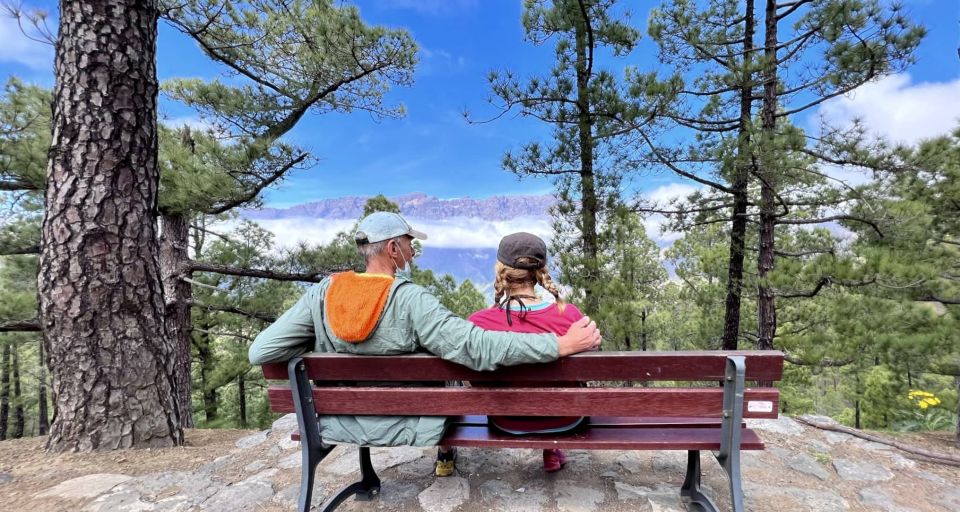 From Tenerife: Day Trip to La Palma Volcanic Landscapes - National Park of La Caldera de Taburiente: why it’s included