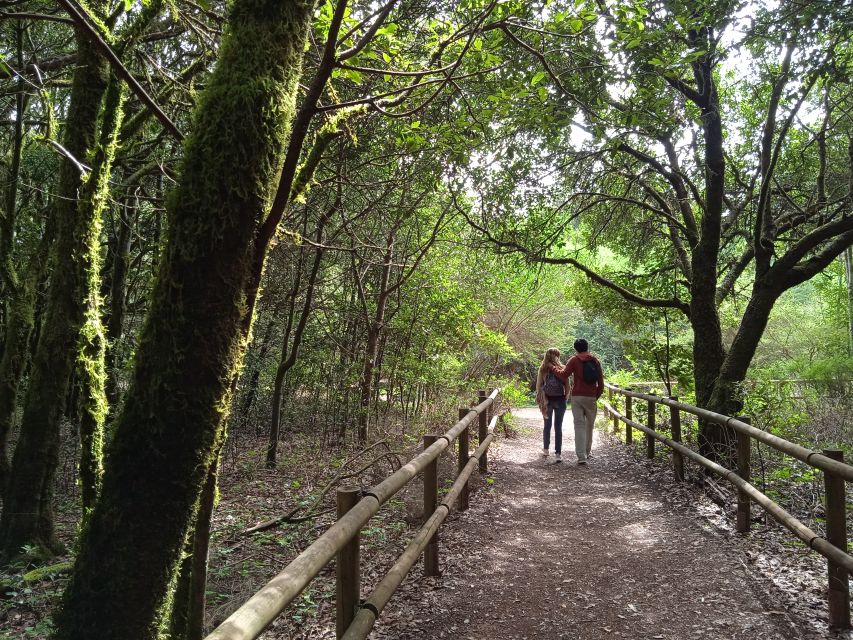 From Tenerife: La Gomera Day Trip with Guide - Who This Tour Fits Best (and Who Should Skip It)