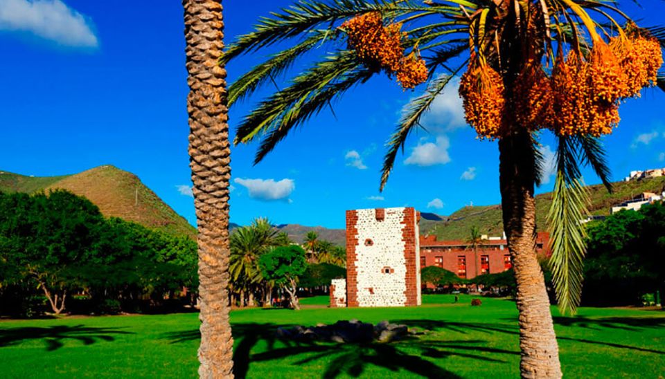 From Tenerife: La Gomera Day Trip with Guide - Timing and Pace: What You Gain, What You Might Feel