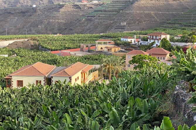 From Tenerife: Tajogaite Volcano, La Cumbrecita and Casco Antiguo - Tajuya viewpoint: Tajogaite and the 2021 eruption story