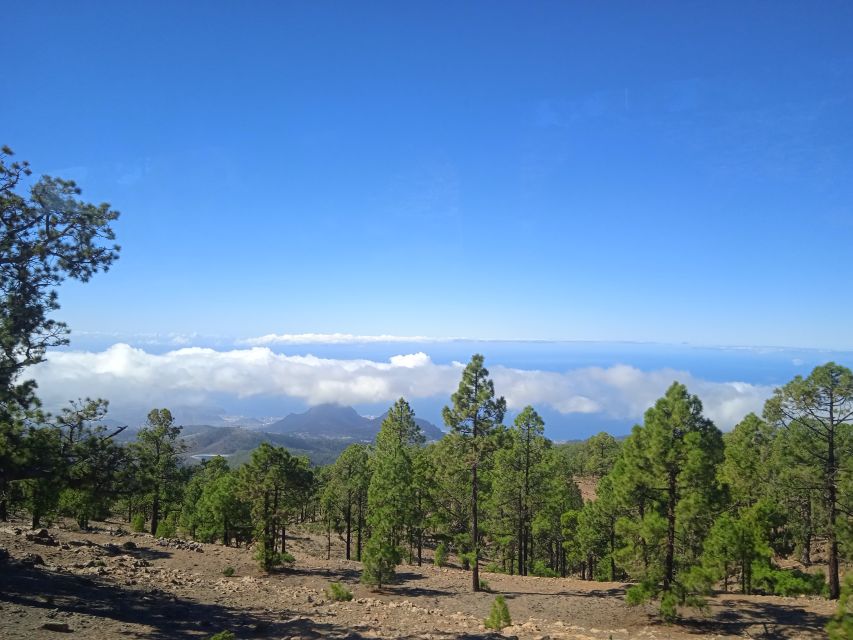 From Tenerife: Teide National Park Guided Day Trip by Bus - Key highlights worth knowing