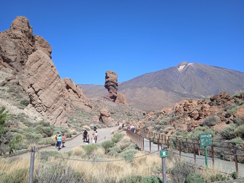 From Tenerife: Teide National Park Guided Day Trip by Bus - What you’ll see in Teide National Park: from pine woods to lunar rock