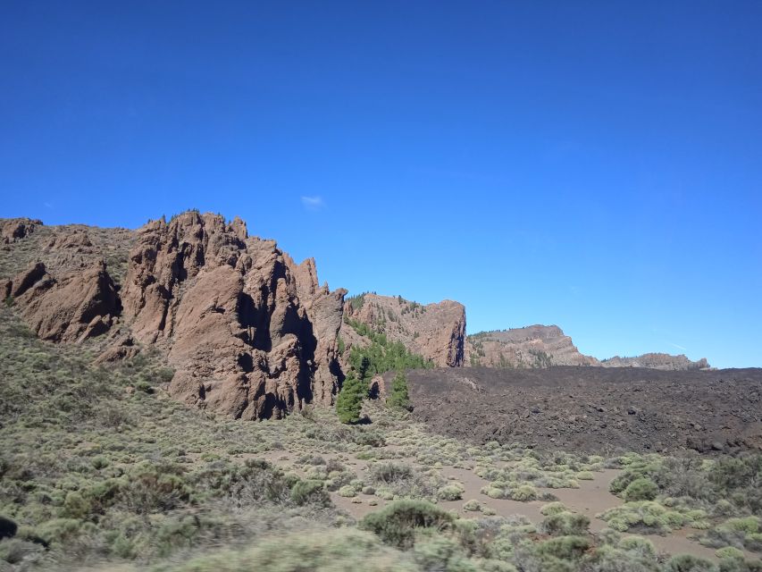 From Tenerife: Teide National Park Guided Day Trip by Bus - Views above the clouds: the photo stops that actually deliver