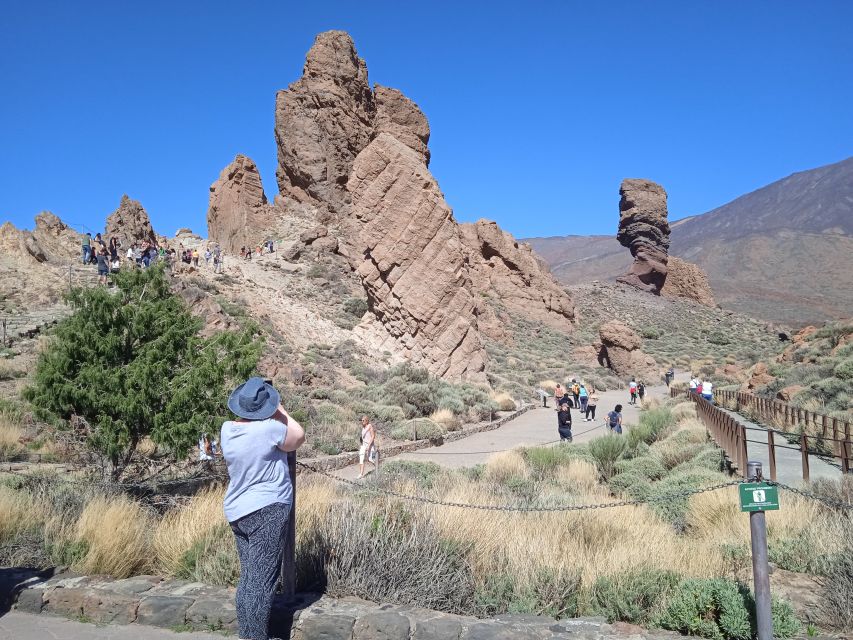 From Tenerife: Teide National Park Guided Day Trip by Bus - Wildlife and endemic plants: how to spot more than just rocks