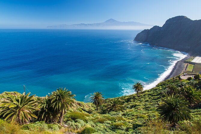 Full-day Bus Tour to La Gomera Island with Professional Guide - Key Things I’d Prioritize Before You Go