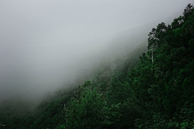 Full-day Bus Tour to La Gomera Island with Professional Guide - Valle de Hermigua Viewpoint: A Short Stop With Big Payoff