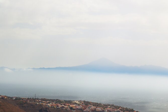 Full-day Bus Tour to La Gomera Island with Professional Guide - Guide Energy, Group Size, and the Microphone Factor