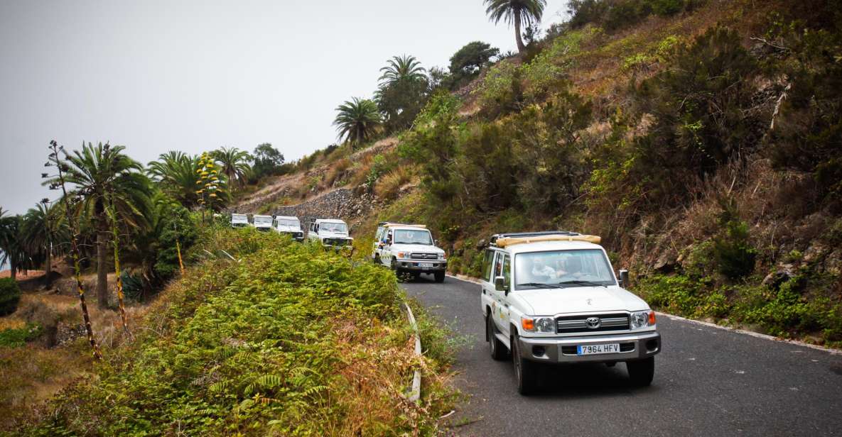 Full-Day Gomera Jeep Safari Excursion from Arona - Garajonay National Park: UNESCO forest stops, not a drive-by