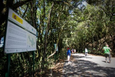 Full-Day Gomera Jeep Safari Excursion from Arona - The whistled language of La Gomera, explained the right way