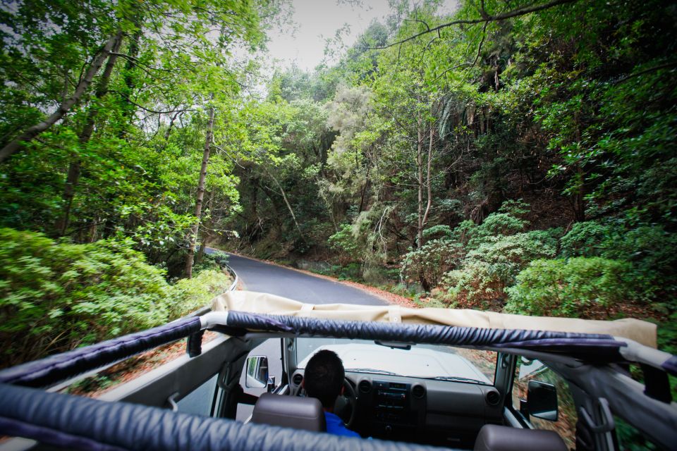 Full-Day Gomera Jeep Safari Excursion from Arona - Price and value for about $171 per person