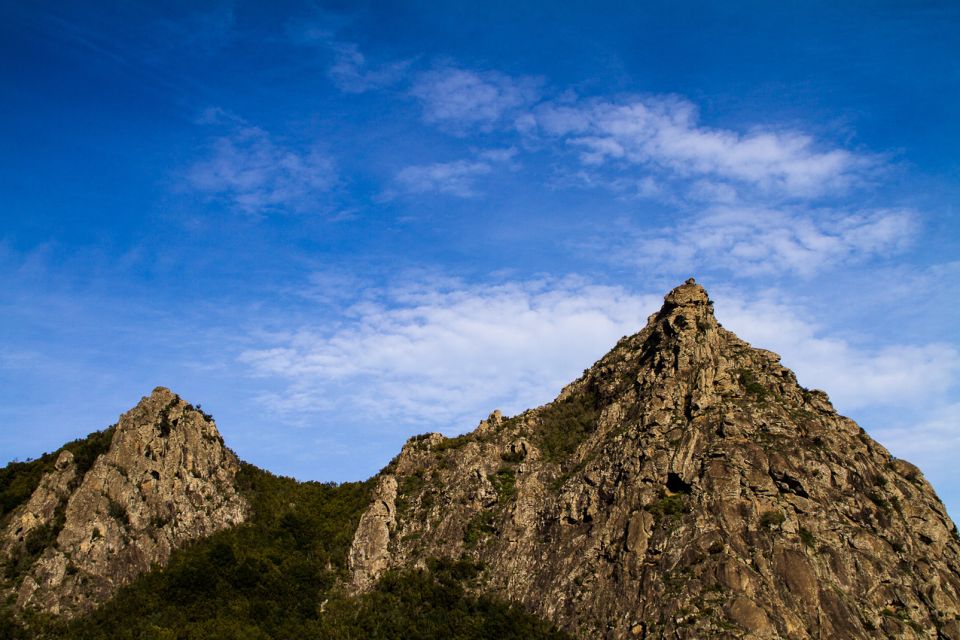 Full-Day Gomera Jeep Safari from Puerto de La Cruz - Why Gomera Feels Like a Separate World
