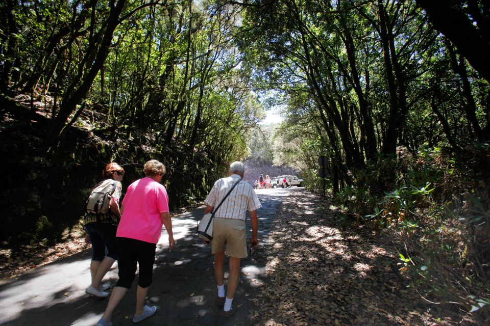 Full-Day Gomera Jeep Safari from Puerto de La Cruz - Jeep Safari Reality Check: What Off-Road Means Here