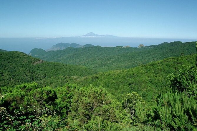 Full Day Guided Tour to La Gomera from Tenerife - Price and logistics: what you’re paying for, and where trips can wobble