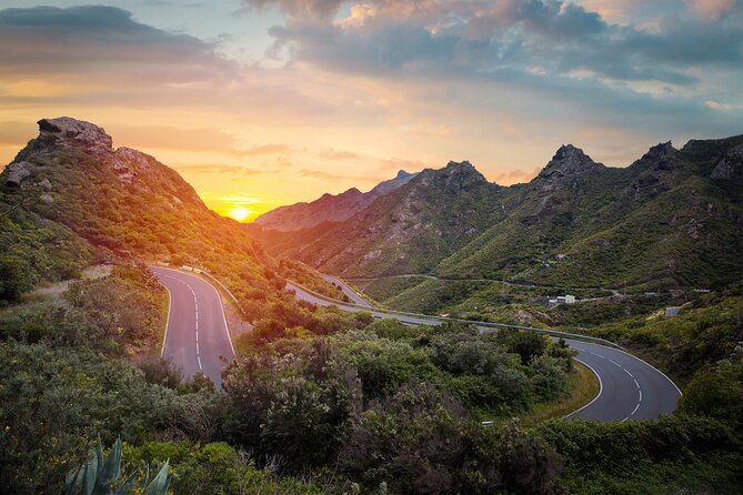 Full Day Tour with Certified Guide in Tenerife - Price and what $65.77 really covers in Tenerife