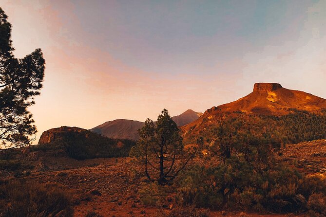 Full Day Tour with Certified Guide in Tenerife - Vilaflor stop: a quick reset on the drive up