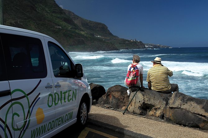 Get to know the Teide National Park and the north of Tenerife on a private tour - How Teide National Park fits into a 4-hour highlight day