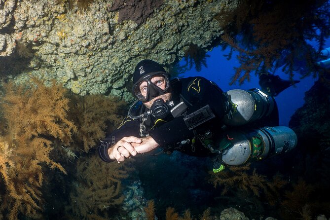 Guided Boat Dives for Certified Divers - Picking 1 to 10 underwater stops: customization without overthinking