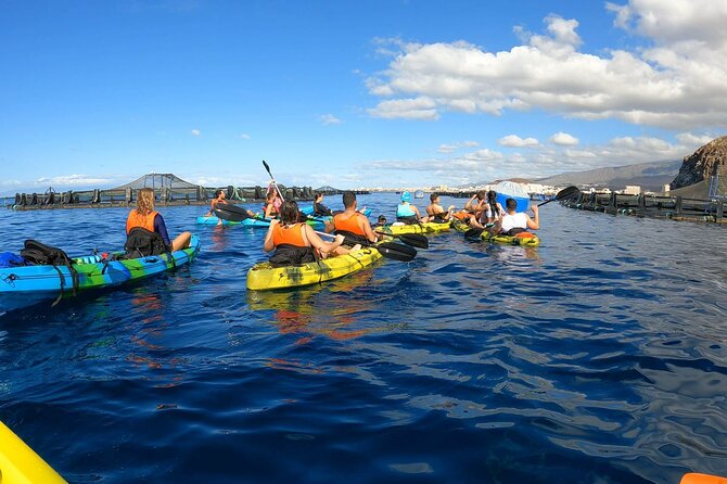 Guided Kayak Tour From Los Cristianos Beach Tenerife - Key things to know before you go