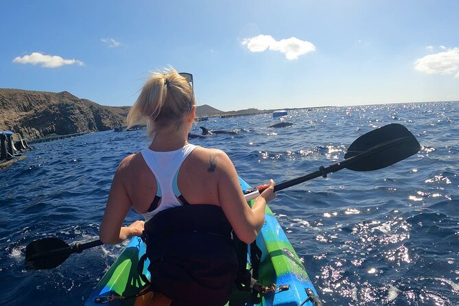 Guided Kayak Tour From Los Cristianos Beach Tenerife - Cueva del Palma: crystalline water and the Guaza Mountain backdrop