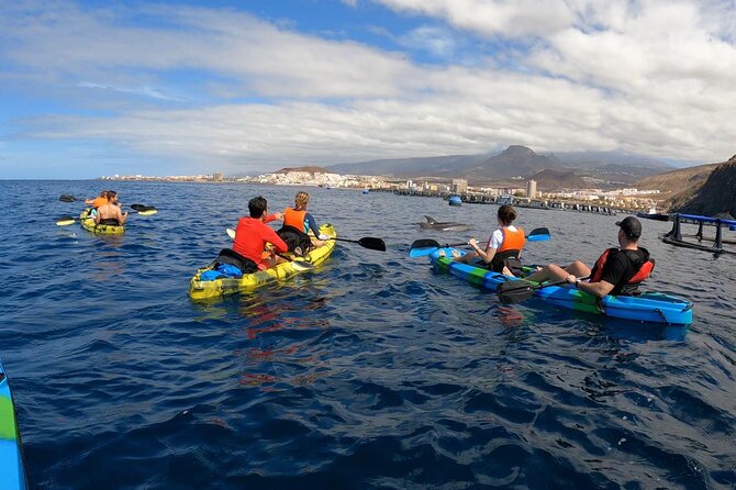 Guided Kayak Tour From Los Cristianos Beach Tenerife - Safety, pacing, and why guests feel looked after