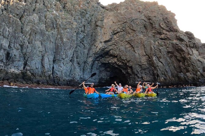 Guided Kayak Tour From Los Cristianos Beach Tenerife - Value for the price: why around $54 can make sense