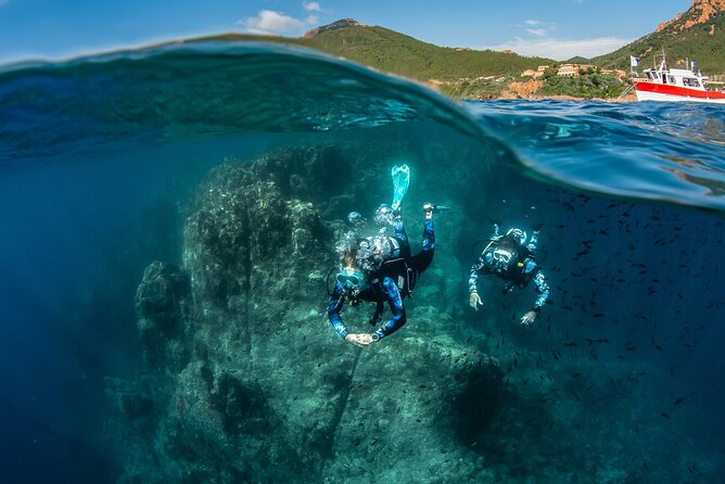 guided Scuba Diving on Tenerife (for certified divers) - Scubanana Center meet-up and what the first hour is for