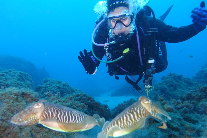 guided Scuba Diving on Tenerife (for certified divers) - Group size: the underrated advantage