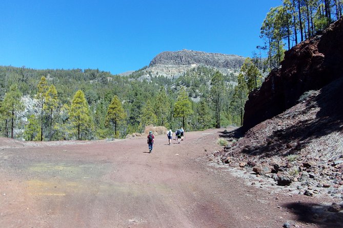 Hiking in Tenerife's Great Outdoors - Teide National Park, walk by walk: what the day likely feels like