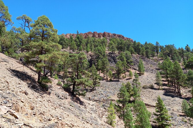 Hiking in Tenerife's Great Outdoors - What you learn on the move: geology and island stories