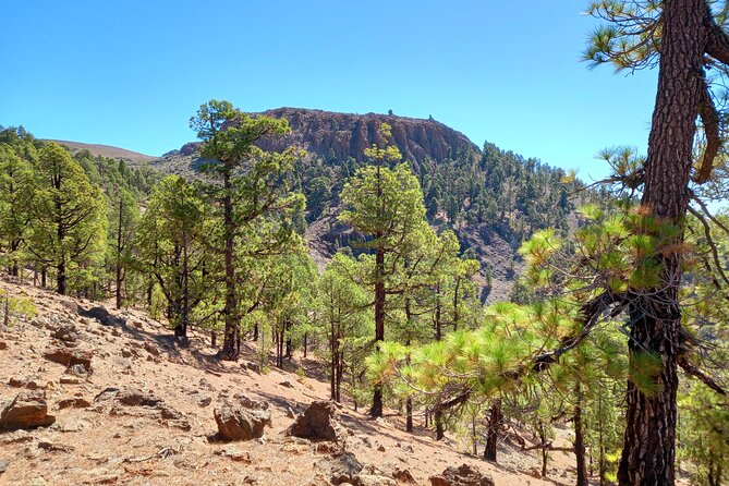 Hiking in Tenerife's Great Outdoors - What to bring (since lunch and hiking gear are on you)
