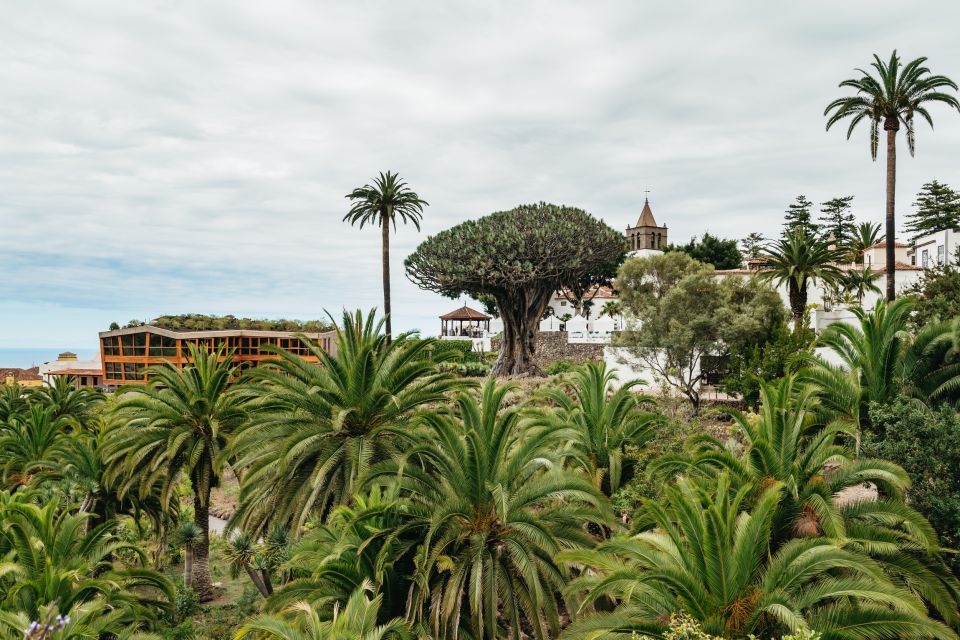 Icod de los Vinos: Dragon Tree & Botanical Garden Ticket - Zones to look for: when you change areas, the visit changes too