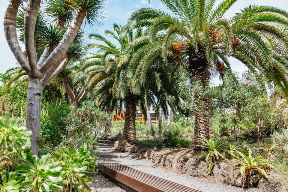 Icod de los Vinos: Dragon Tree & Botanical Garden Ticket - Taking a break: viewpoint time and a simple snack