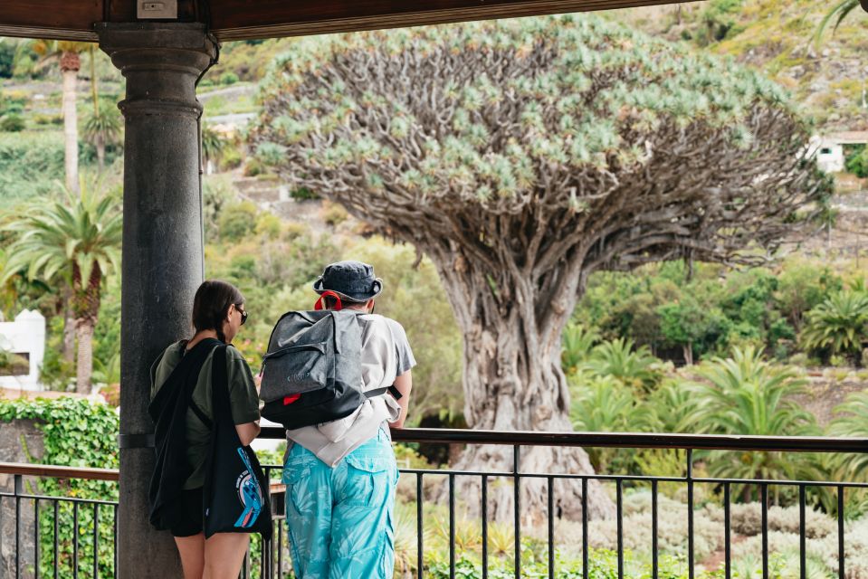 Icod de los Vinos: Dragon Tree & Botanical Garden Ticket - Timing a 1-day ticket so you don’t feel rushed