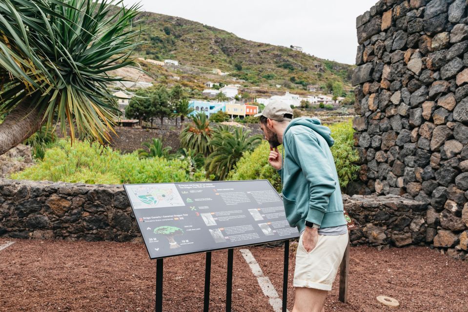 Icod de los Vinos: Dragon Tree & Botanical Garden Ticket - Price and value: why $5 can still feel like a full experience