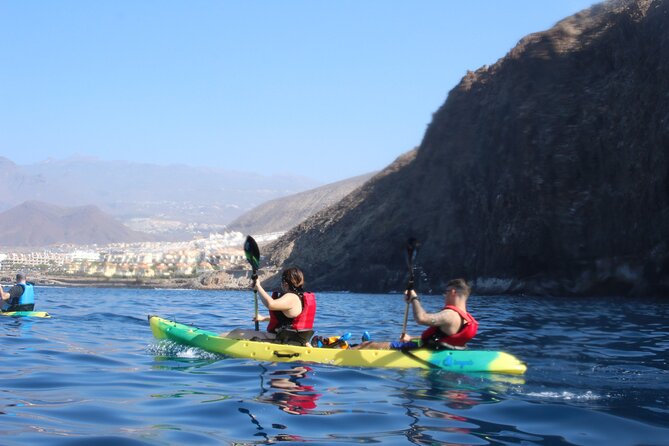 Kayak Route along the Volcanic Coast in Tenerife South with Snorkeling - Dolphins: how to think about the “hopefully” part